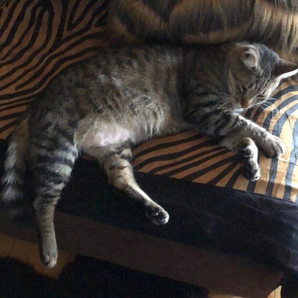 Meet your posher! - Picture 3 of 3